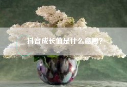 抖音成长值是什么意思？