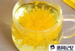 为什么调理血热多喝点菊花水