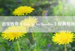 音乐传奇《Time to Say Goodbye》经典现场