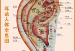 【偏方验方】这里为您收藏整理了《40个常见病穴位按摩大全》