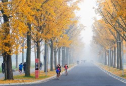 电子科技大学宿舍条件