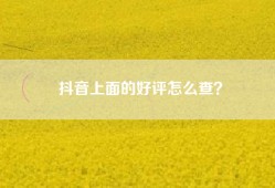 抖音上面的好评怎么查？