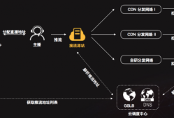 视频分发什么意思优质