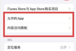 iphone访问限制在哪优质