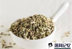 小茴香的价格是多少 小茴香是什么