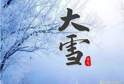 今日大雪节气，记得吃这“4鲜”，营养滋补增强体质，健康过冬天