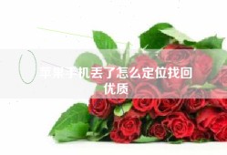 苹果手机丢了怎么定位找回
优质