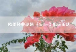 欧美经典现场 《Yellow》酷玩乐队