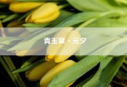 青玉案·元夕