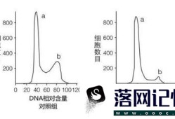 葡萄胎的检查优质