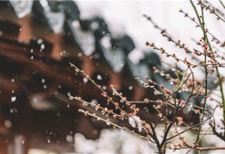 雪的形成是什么物态变化