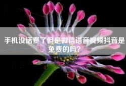 手机没话费了但是微信语音视频抖音是免费的吗？