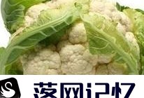 孩子感冒咳嗽吃什么饮食好优质