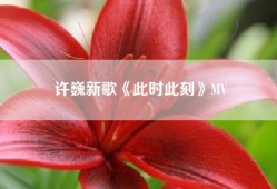 许巍新歌《此时此刻》MV