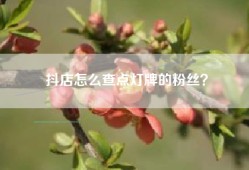 抖店怎么查点灯牌的粉丝？