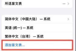 iPhone14怎样添加盲文表优质