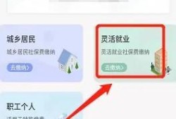 灵活就业人员社保网上缴费如何交优质