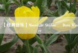 【经典音乐】Moonlight Shadow – Dana Winner