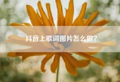 抖音上歌词图片怎么做？