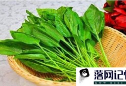 小孩吃菠菜好不好优质