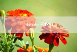 rise raise 的区别