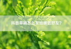 抖音草稿怎么发给微信好友？