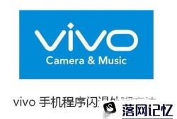 vivo手机程序闪退处理方法优质