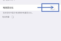 如何设置iphone电池显示百分比优质