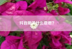 抖音限关什么意思？