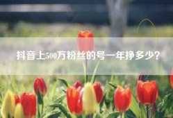 抖音上500万粉丝的号一年挣多少？