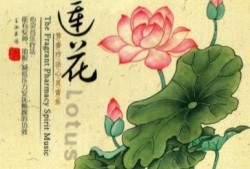 莲花与轻音乐的吟唱：芳香疗法心灵音乐：《莲语的呢喃》养心！