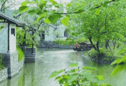 湖南郴州 / 黄爱国 【诗歌】/《​入伏后的第一场雨》（外一首）