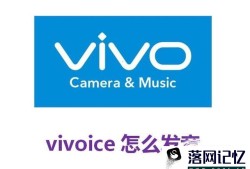 vivoice怎么发音优质