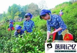 如何自制红茶？优质