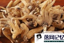 药归参的食用方法及注意事项优质