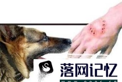 注射狂犬疫苗有什么作用优质