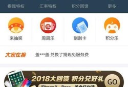 怎么查看支付宝周周乐开奖记录优质