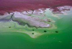 国际湿地日是几月几日