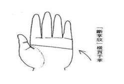 令婚姻不利的手纹有哪些？（断掌，两条婚姻线，小指下方低陷）