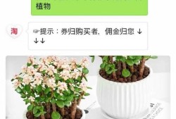 如何把淘宝商品链接转换淘宝客链接发给微信好友优质