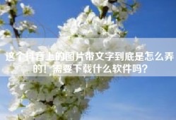 这个抖音上的图片带文字到底是怎么弄的！需要下载什么软件吗？