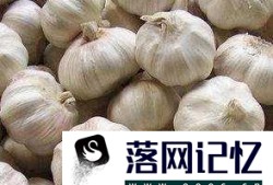 怎样在家里种大蒜？优质