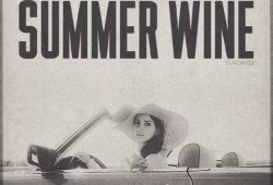 【复古风】夏日美酒让人沉醉，拉娜·德雷翻唱《Summer Wine》