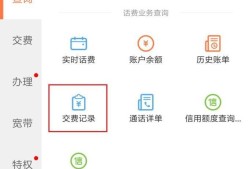 联通网上营业厅怎么查缴费记录优质