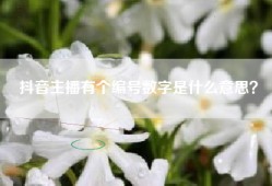 抖音主播有个编号数字是什么意思？