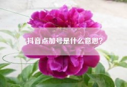 抖音点加号是什么意思？