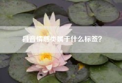 抖音情感类属于什么标签？