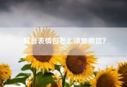 抖音表情包怎么添加微信？