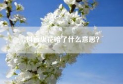 抖音火花暗了什么意思？