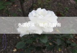 水调歌头·明月几时有